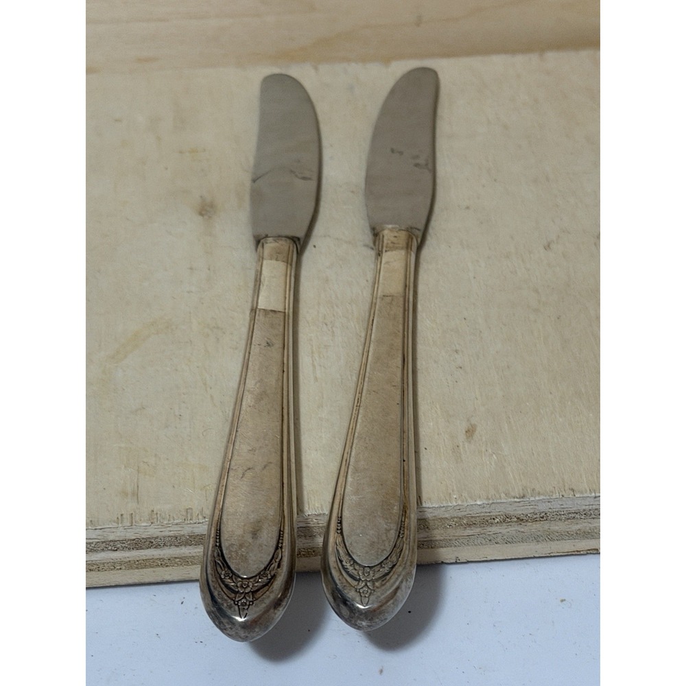 insico stainless flatware vintage Two Knives